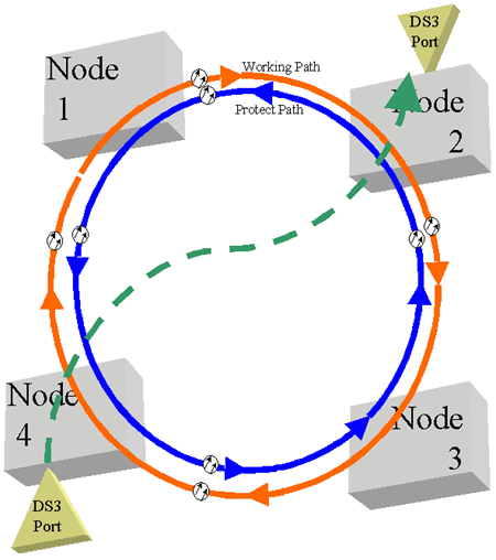 SHNS Diagram